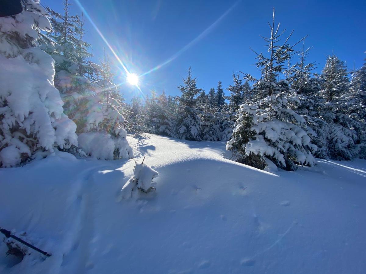 Top Fewo Mit Sommercard Winterberg Eksteriør bilde
