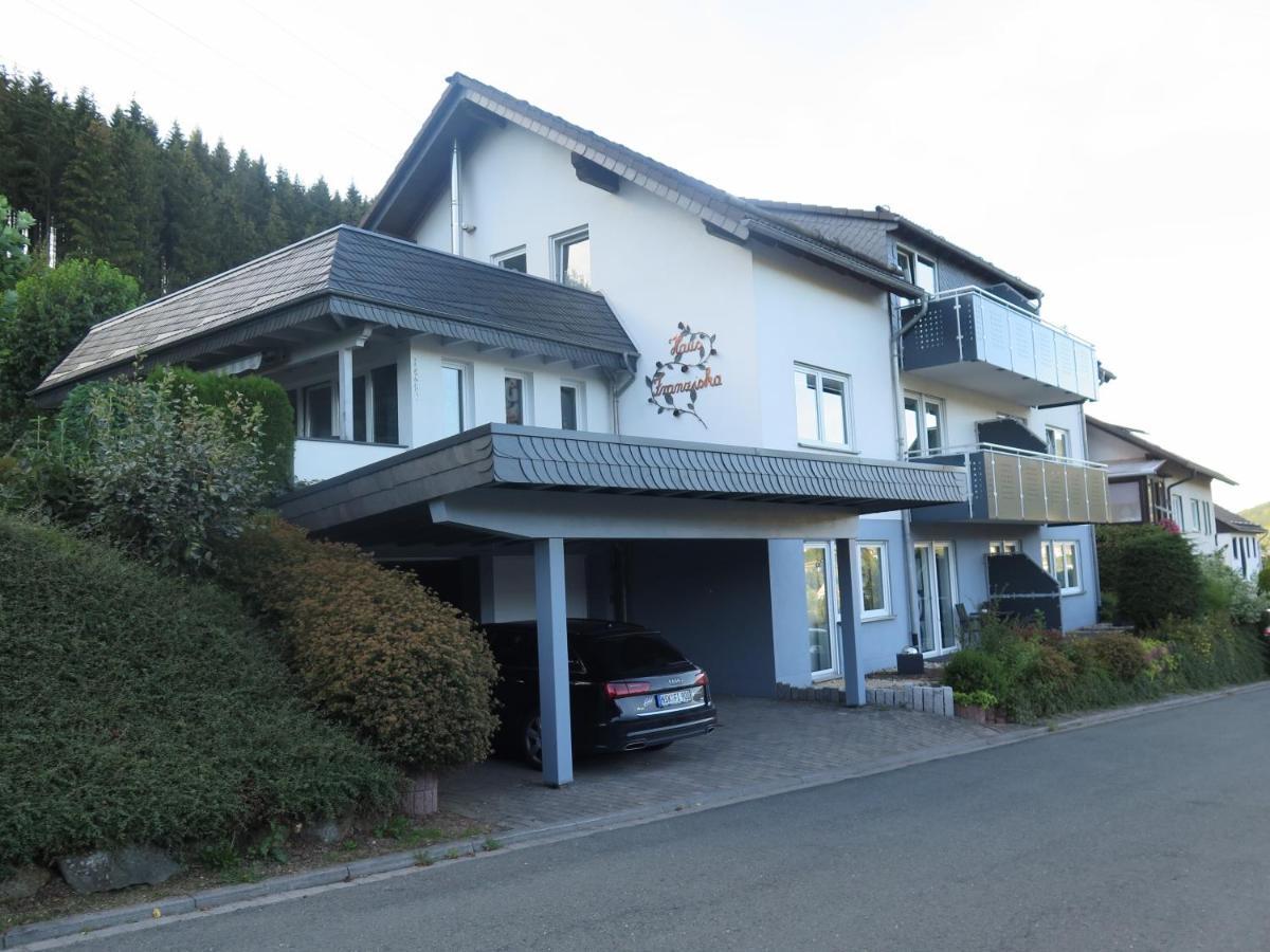 Top Fewo Mit Sommercard Winterberg Eksteriør bilde